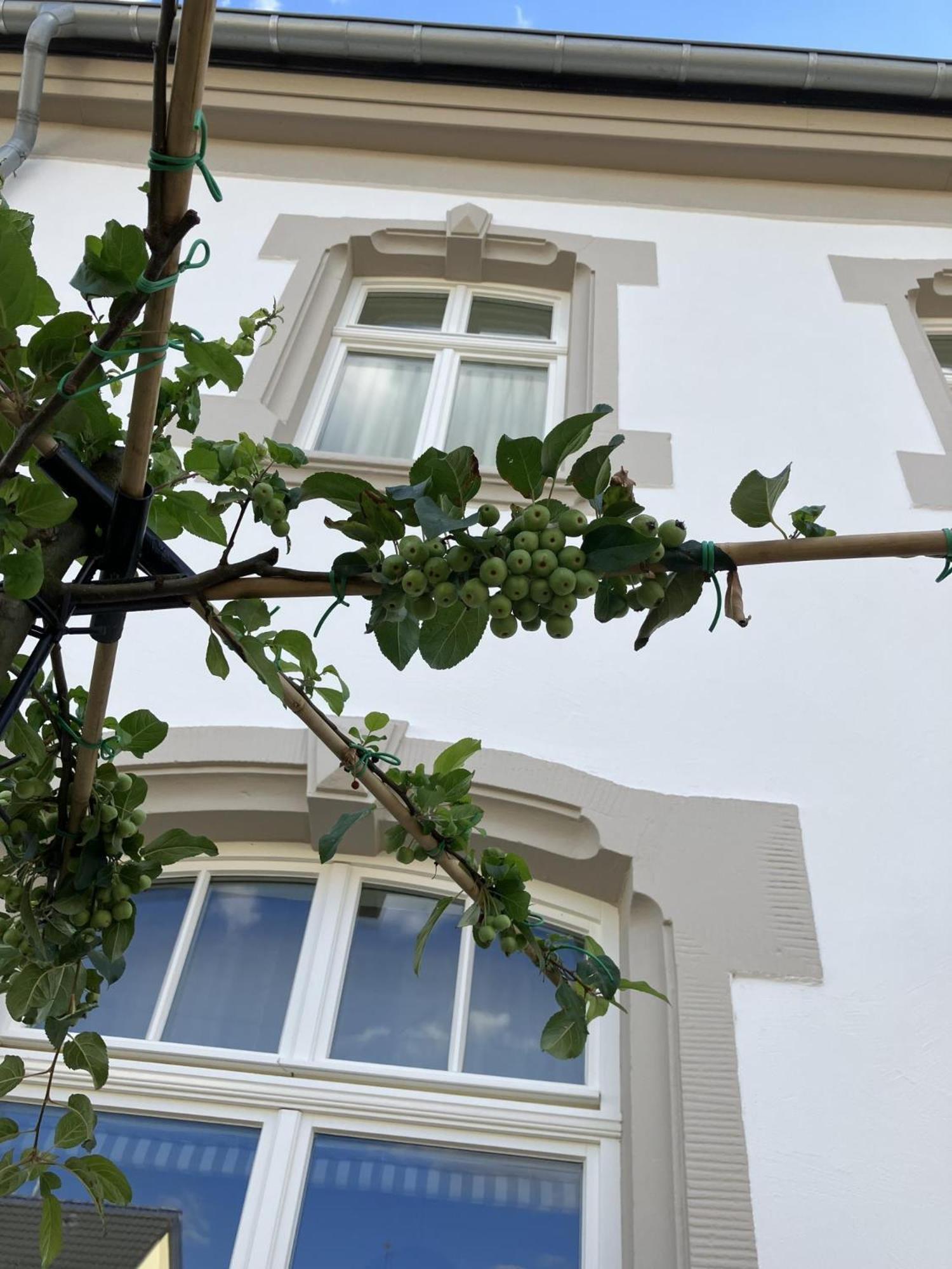 Gaestehaus Cantzheim Kanzem Kültér fotó